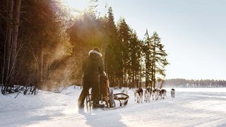 Huskyschlitten Tour in Norwegen