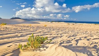 Endlos weiße Traumstrände auf Fuerteventura